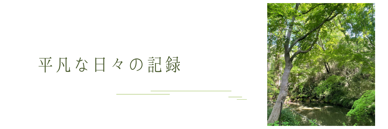 平凡な日々の記録